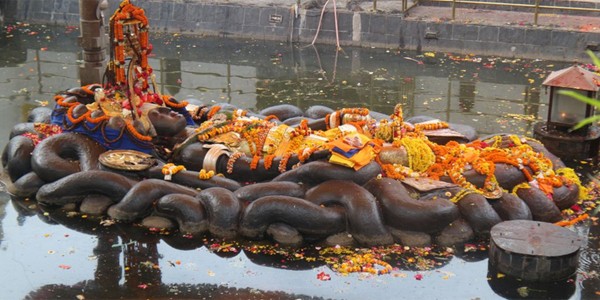 One Full Day Pashupatinath Temple, Guheswari Temple and Budhanilakantha temple.